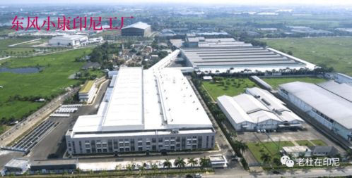 印尼，不得不說(shuō)的那些事兒 技術(shù)服務(wù)與技術(shù)轉(zhuǎn)讓的機(jī)遇與挑戰(zhàn)