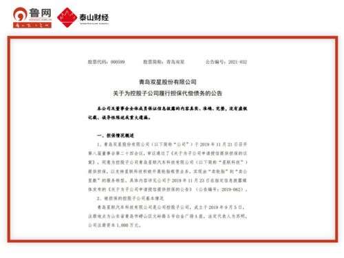 青島雙星代償1000萬(wàn)助力子公司轉(zhuǎn)型，星聯(lián)科技聚焦技術(shù)服務(wù)與技術(shù)轉(zhuǎn)讓新賽道